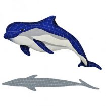 Bottlenose Dolphin Upward