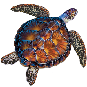 CM - Porcelain Brown Sea Turtle