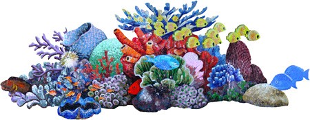 Glass Reef