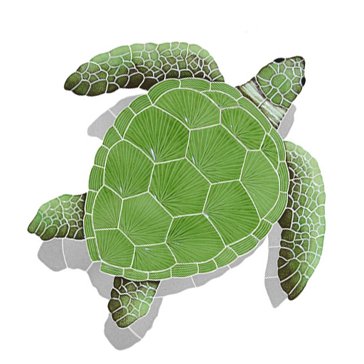 Loggerhead Turtle Green Shadow