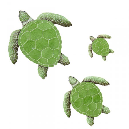 Loggerhead Turtles Green