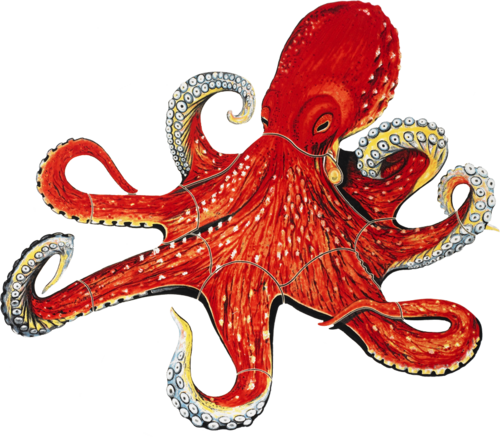 Octopus Porcelain