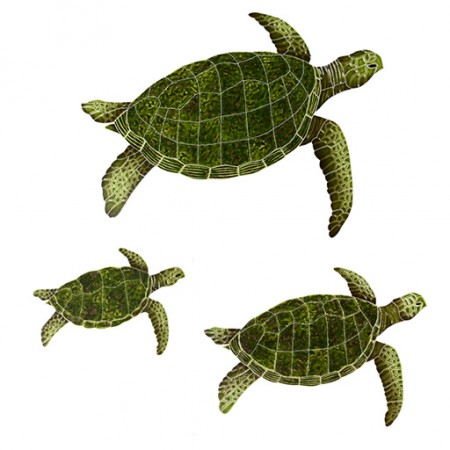 Sea Turtles Green