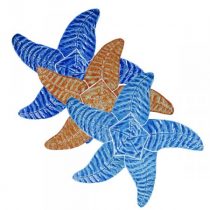 Starfish 9x9
