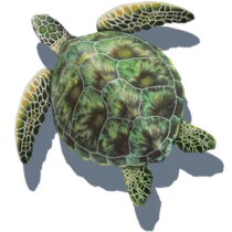 Sea Turtle Green with Shadow Sea Turtle Green with Shadow
