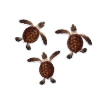 Untitled design Untitled design